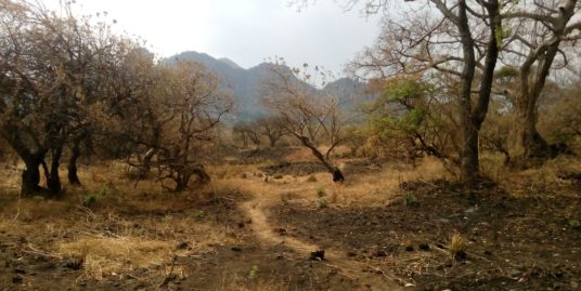 Terreno El Pedregal