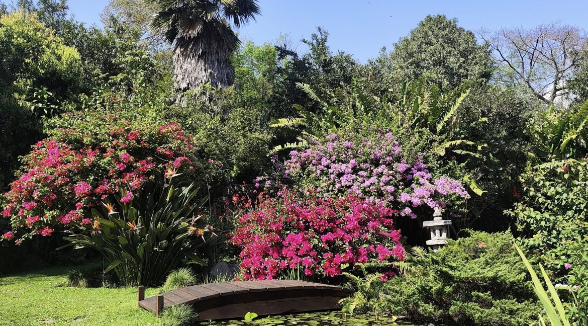 592855908_1497089429087078_4374170915410559300_n