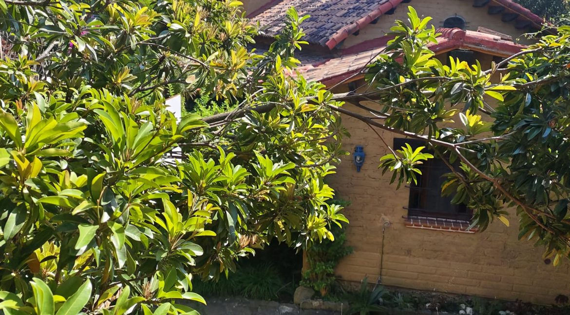 b6cf74ab-3489-49fa-886d-72b11c366f87