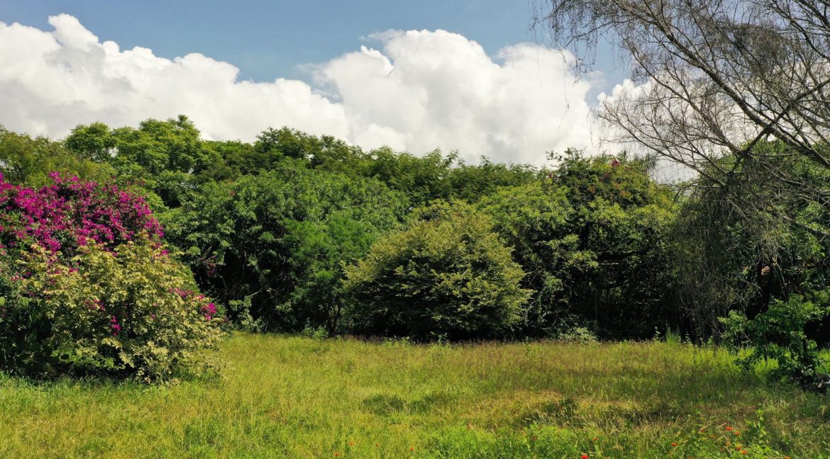 WhatsApp Image 2025-11-03 at 4.36.36 PM (1)