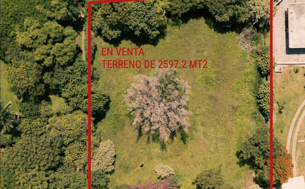 WhatsApp Image 2025-11-03 at 4.36.36 PM