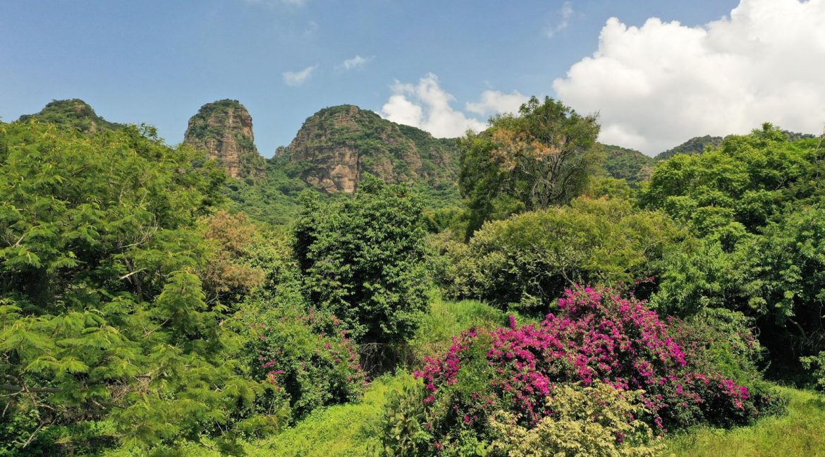 WhatsApp Image 2025-11-03 at 4.36.36 PM (2)