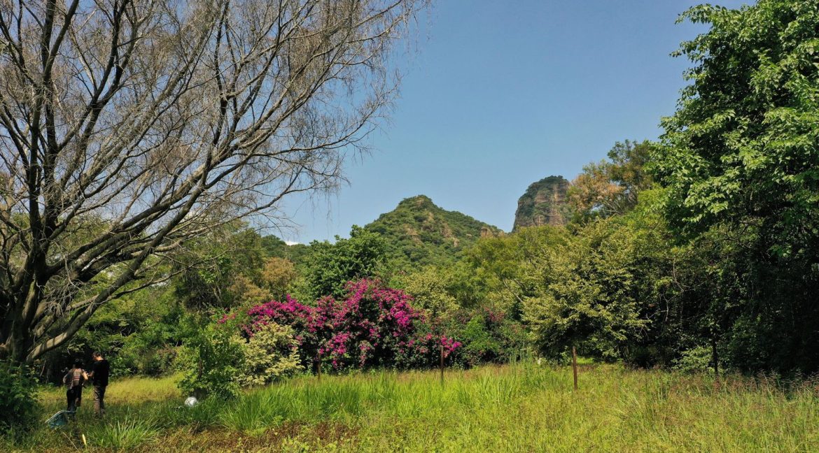 WhatsApp Image 2025-11-03 at 4.36.36 PM (3)