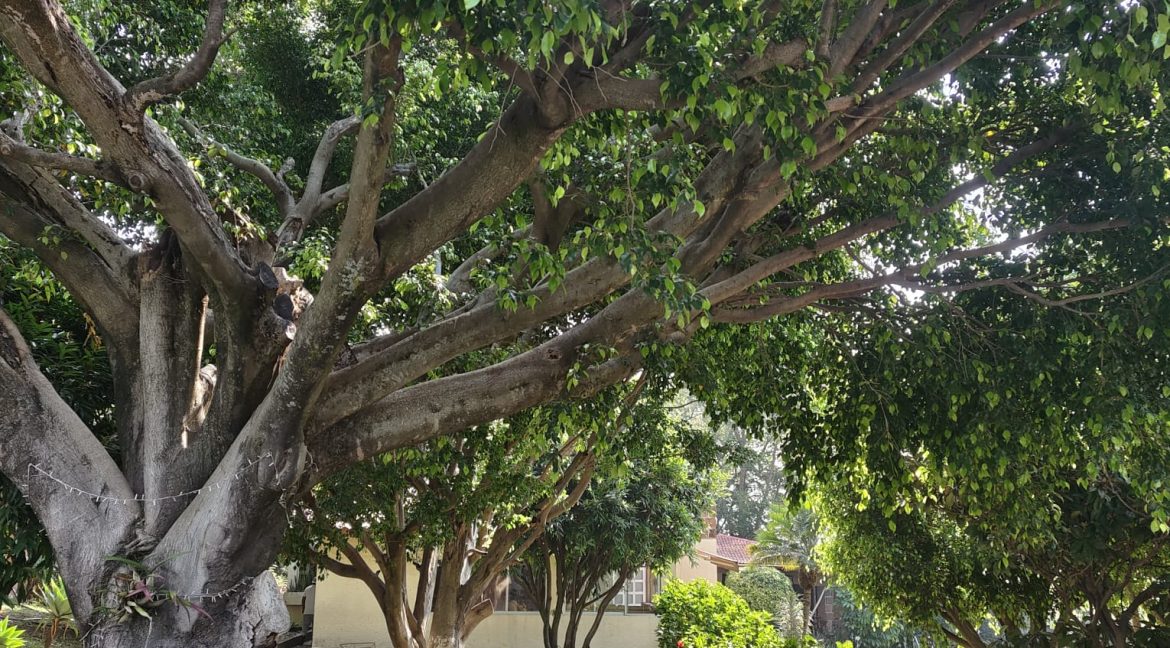 WhatsApp Image 2025-11-21 at 11.00.19 AM