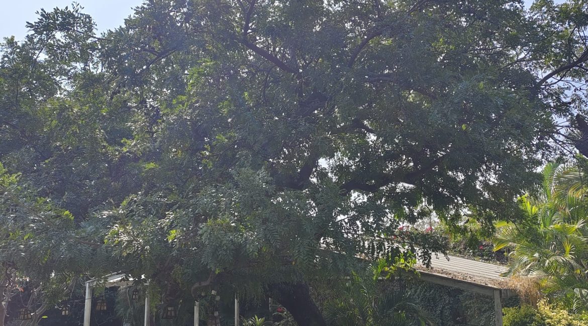 WhatsApp Image 2025-11-21 at 11.00.23 AM