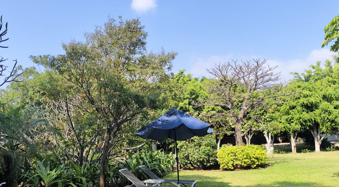 WhatsApp Image 2025-11-21 at 11.00.23 AM (5)