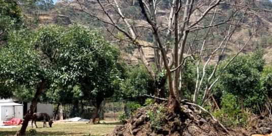 Terreno El Peregrino