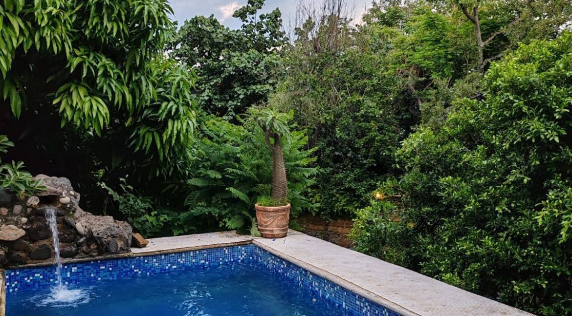 597607786_1504707738325247_5966026398529884207_n