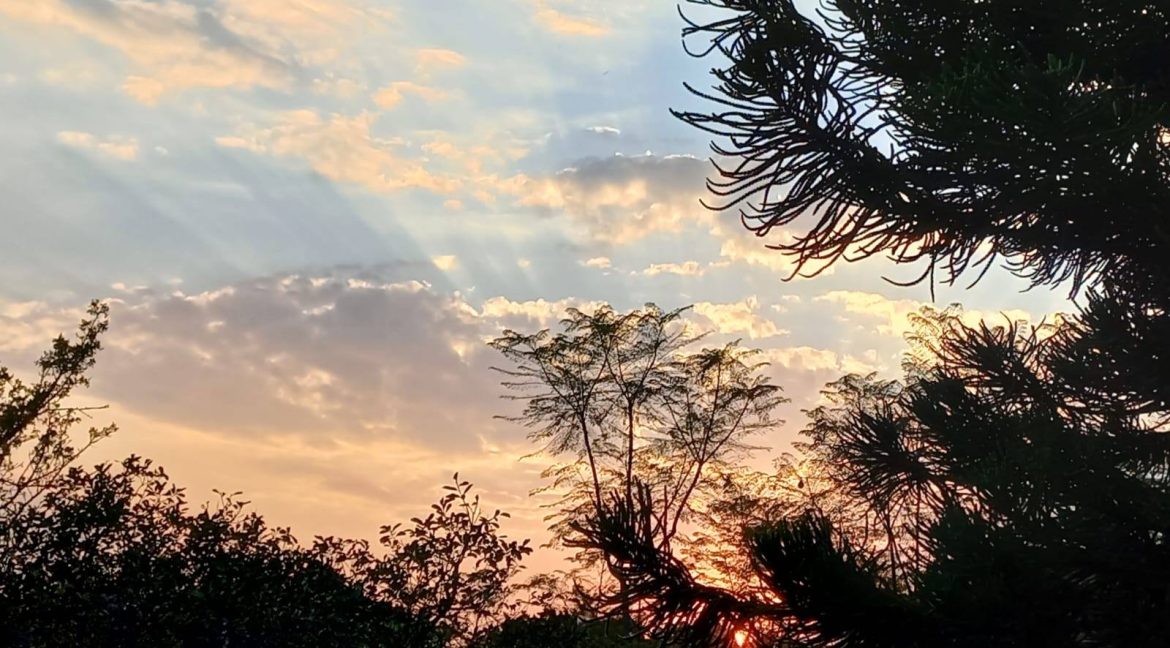 597654995_1504713278324693_2476391630039785196_n