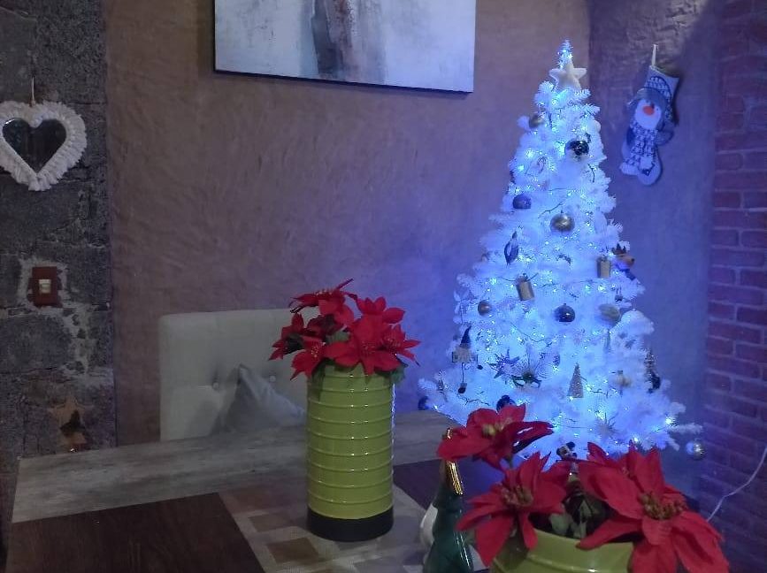 597772650_1504713748324646_5161152132709159802_n