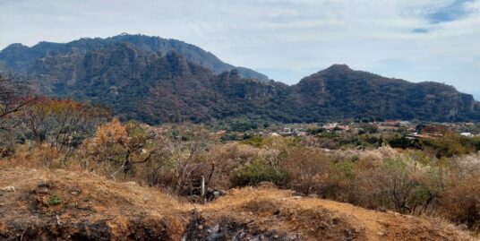 Terreno Campos de Amatlán