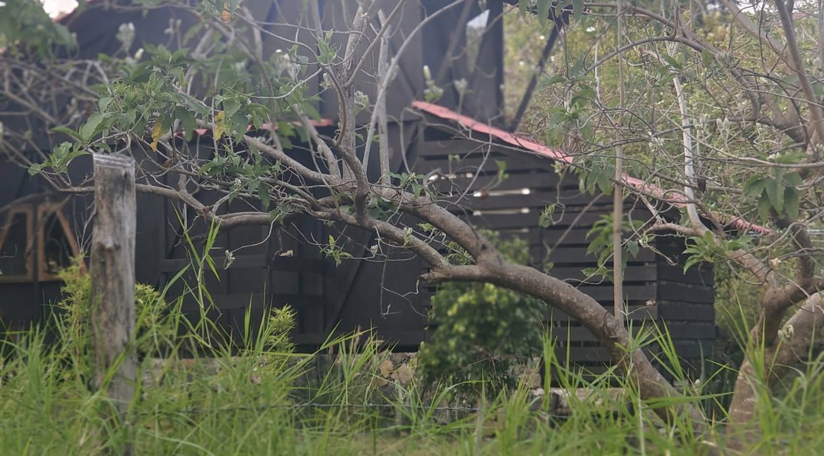 574573576_1470847958377892_6501646239750691492_n