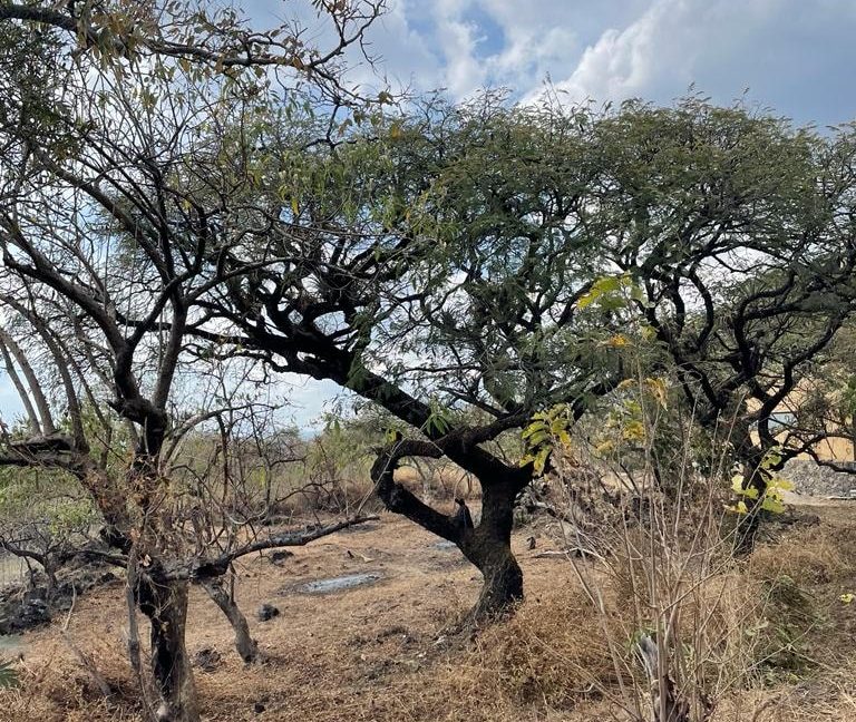 576811173_1470847328377955_1001058137469695019_n