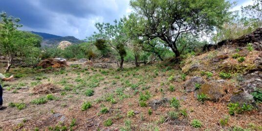 Terreno San Miguel