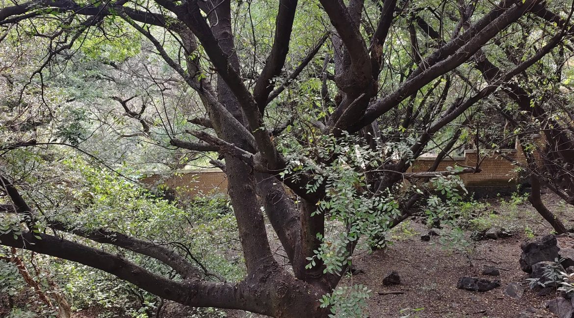 574573130_1470630998399588_5832722612942304712_n