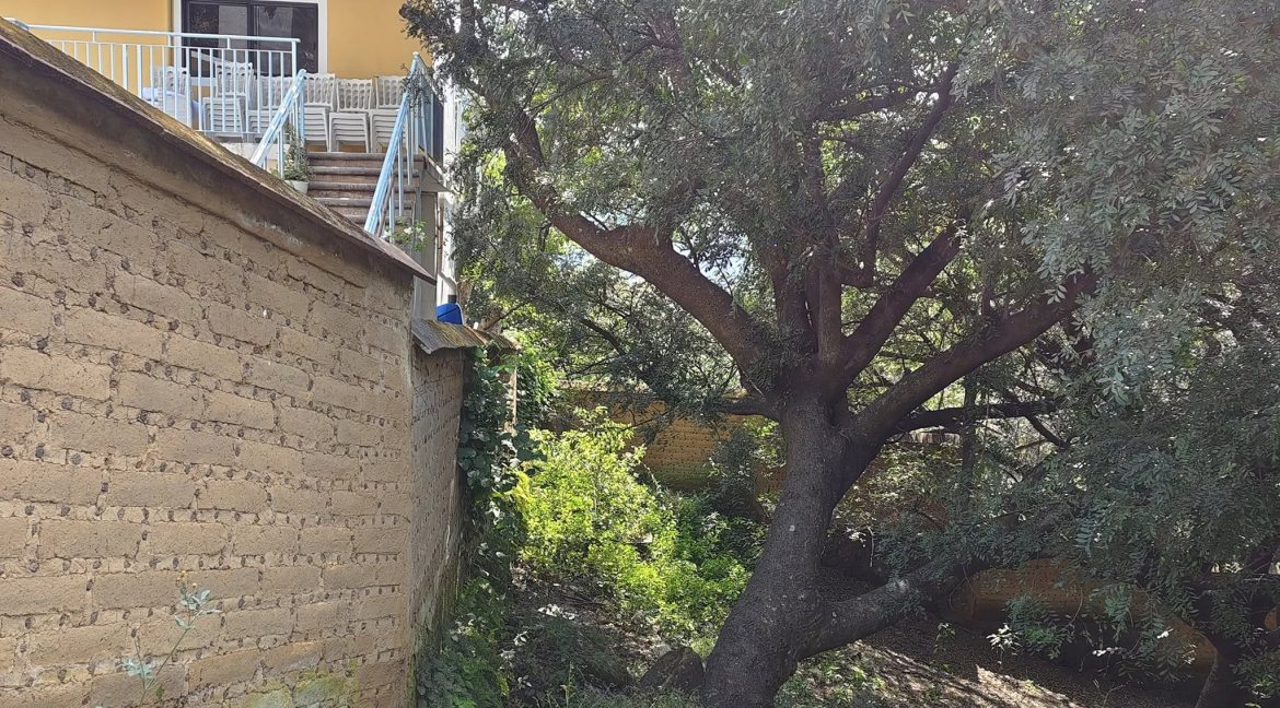 574574085_1470630365066318_8039419733694897193_n