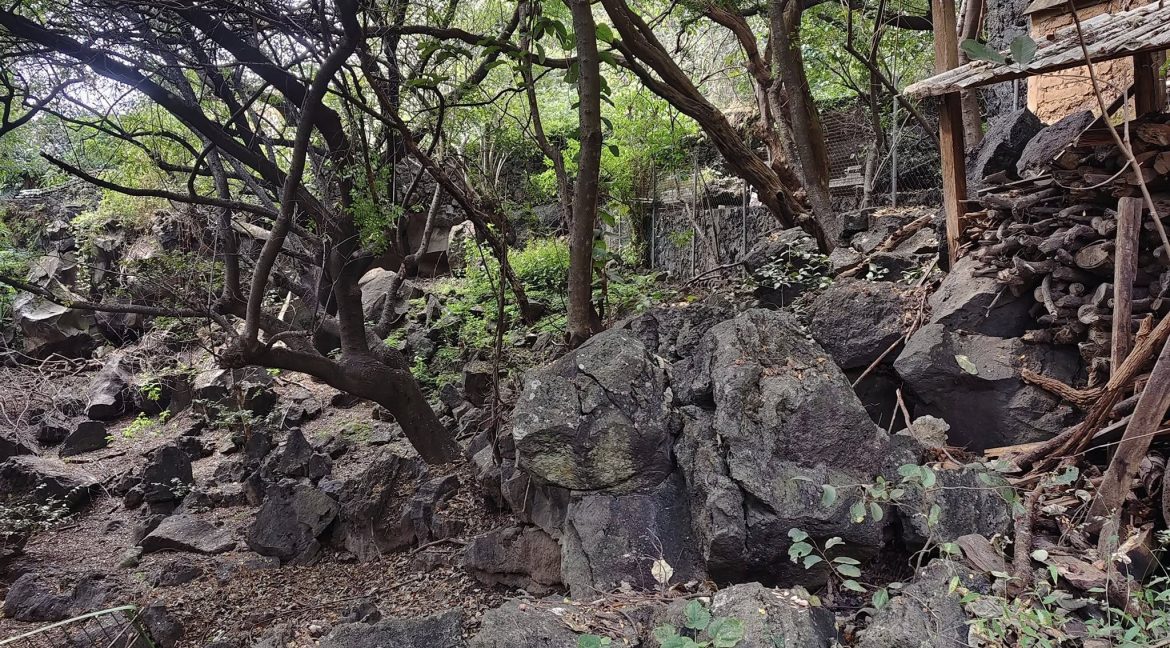 574622967_1470630878399600_5263463825985804893_n