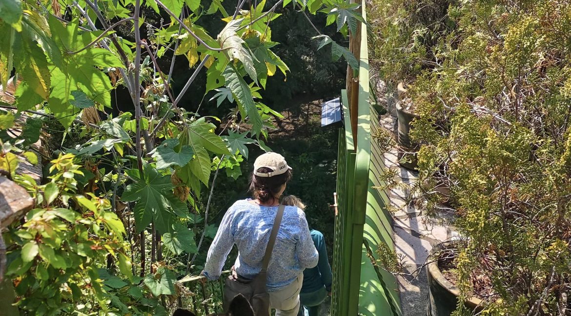 574924702_1470630465066308_4421936909398244698_n