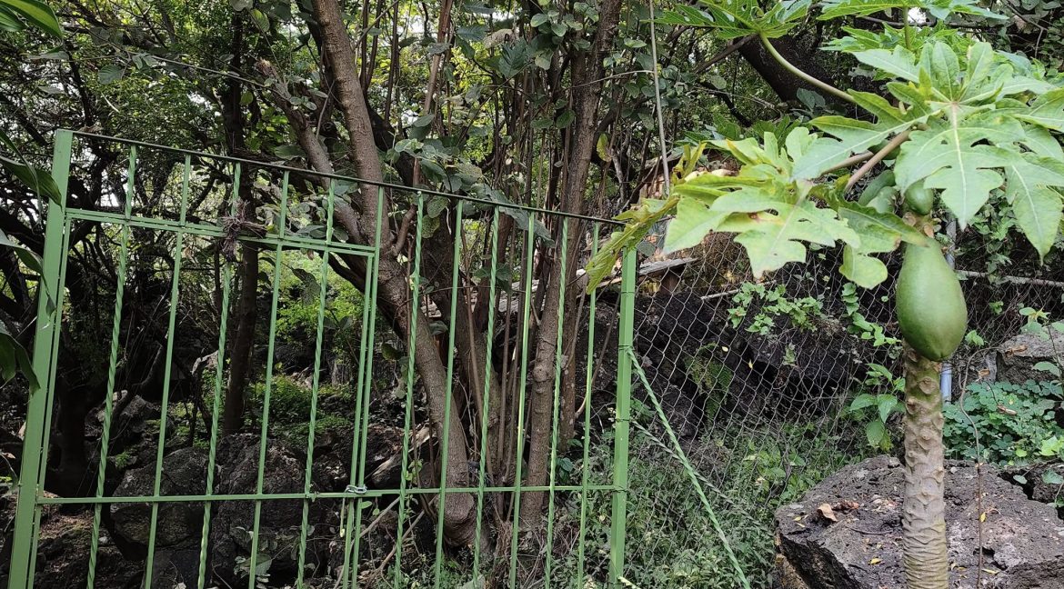 576570416_1470630778399610_4618671676922708821_n