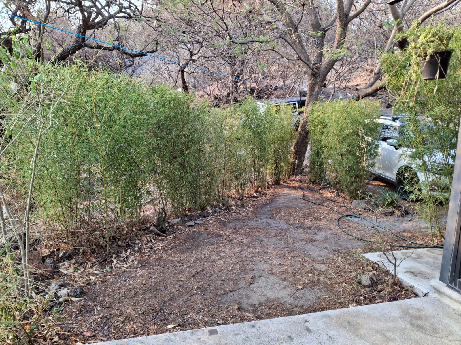 WhatsApp Image 2025-04-29 at 5.56.06 PM (1)