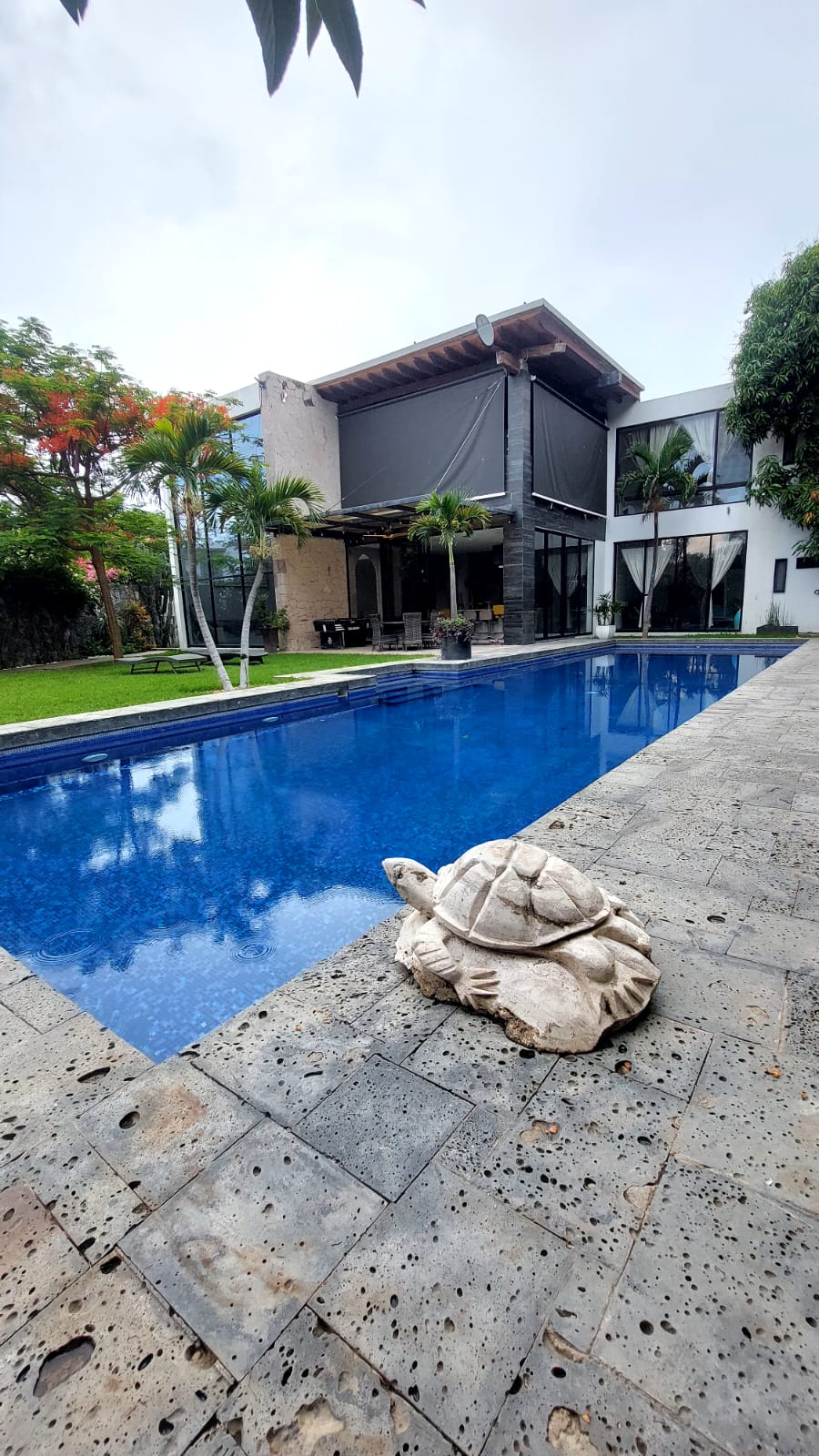 Casa Tortuga
