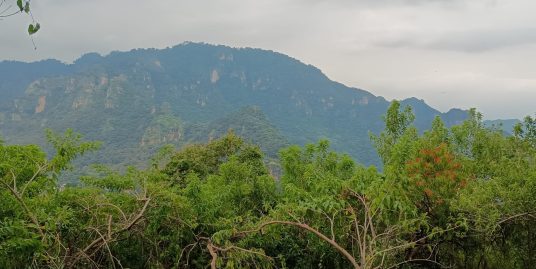 Terreno Valle de Amatlán