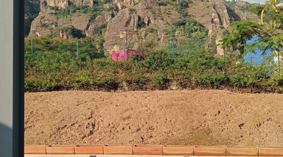 WhatsApp Image 2025-10-29 at 4.06.30 PM