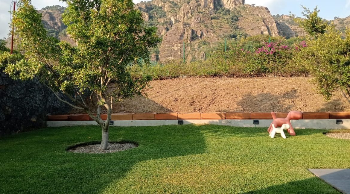 WhatsApp Image 2025-10-29 at 4.06.39 PM (1)