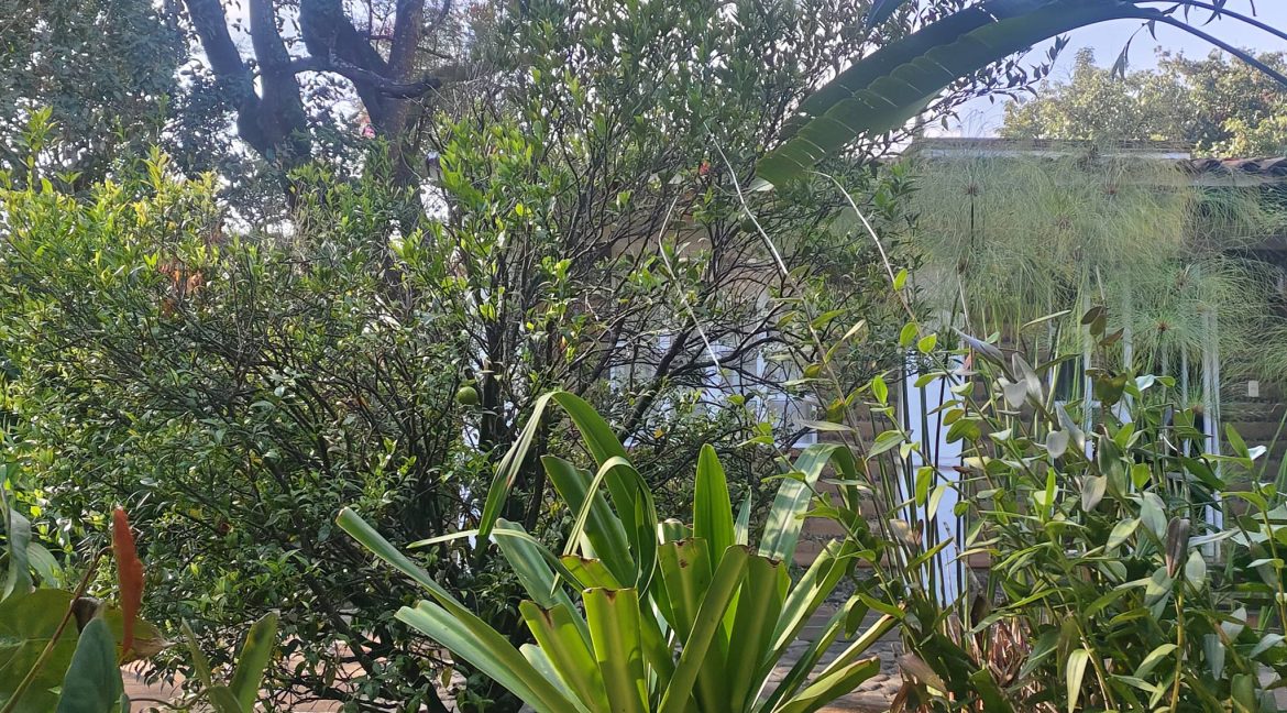 597897867_1506263234836364_1923418809317721621_n