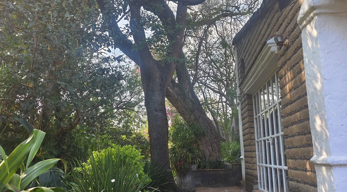 597900158_1506263118169709_191081033664826623_n