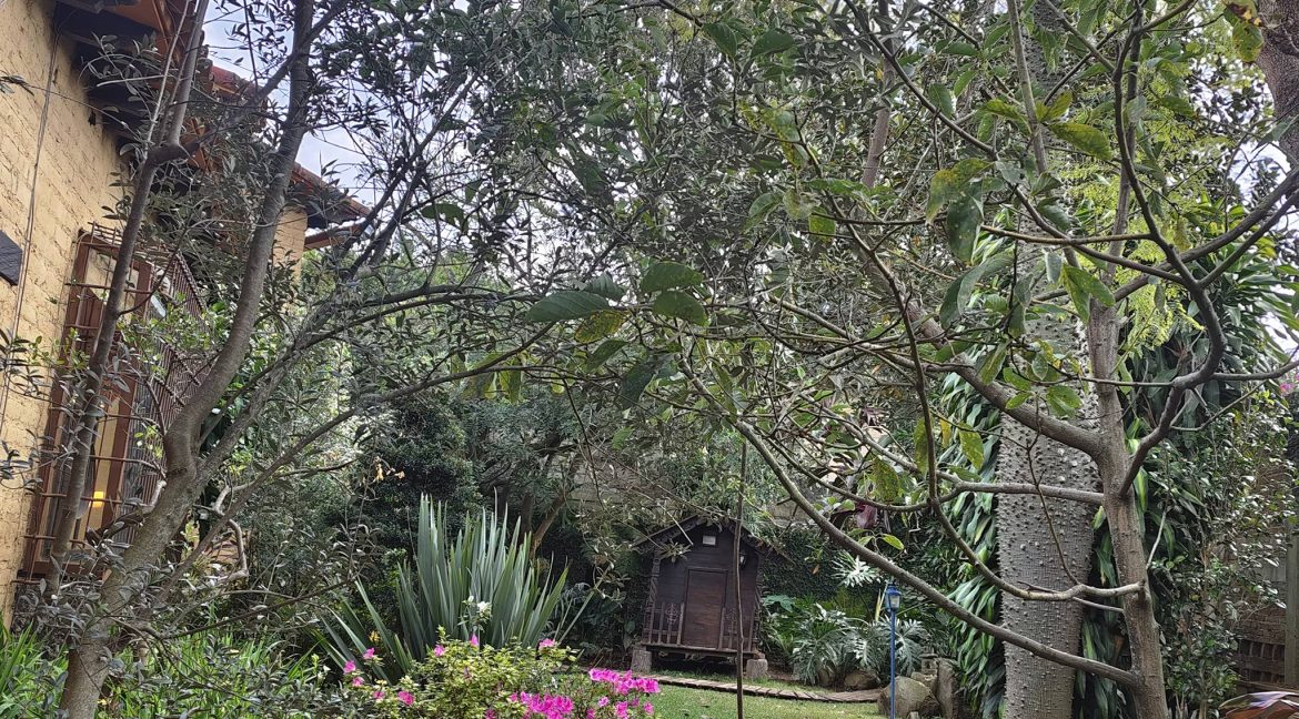 597820114_1504300435032644_4909767223669545459_n