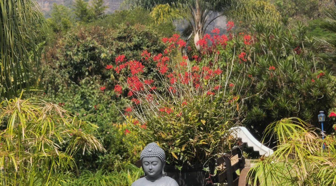 597868942_1504300035032684_759180783117913705_n