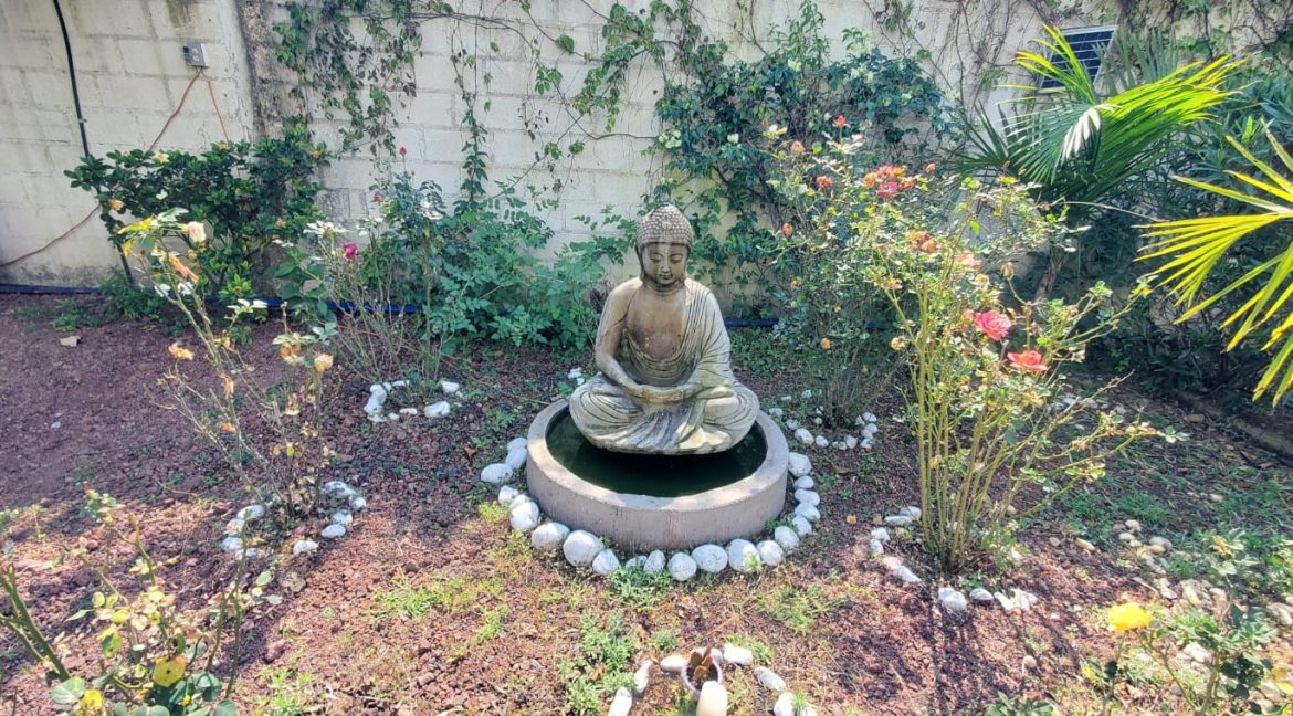 WhatsApp Image 2026-01-15 at 16.13.50 (6)