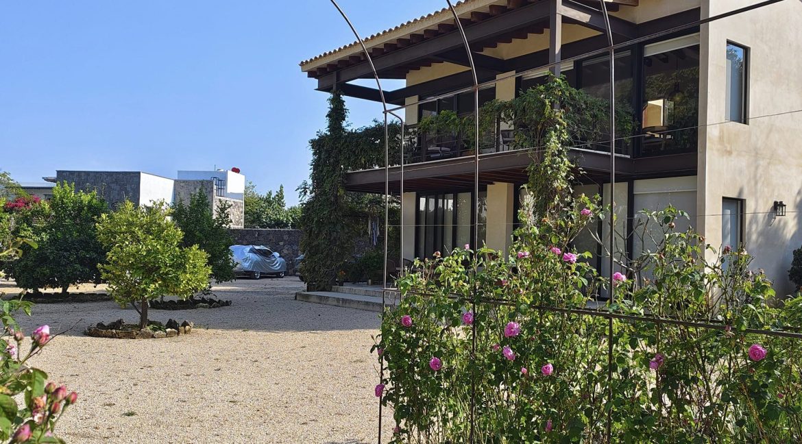 467149577_1136495071813184_5555386712965073324_n