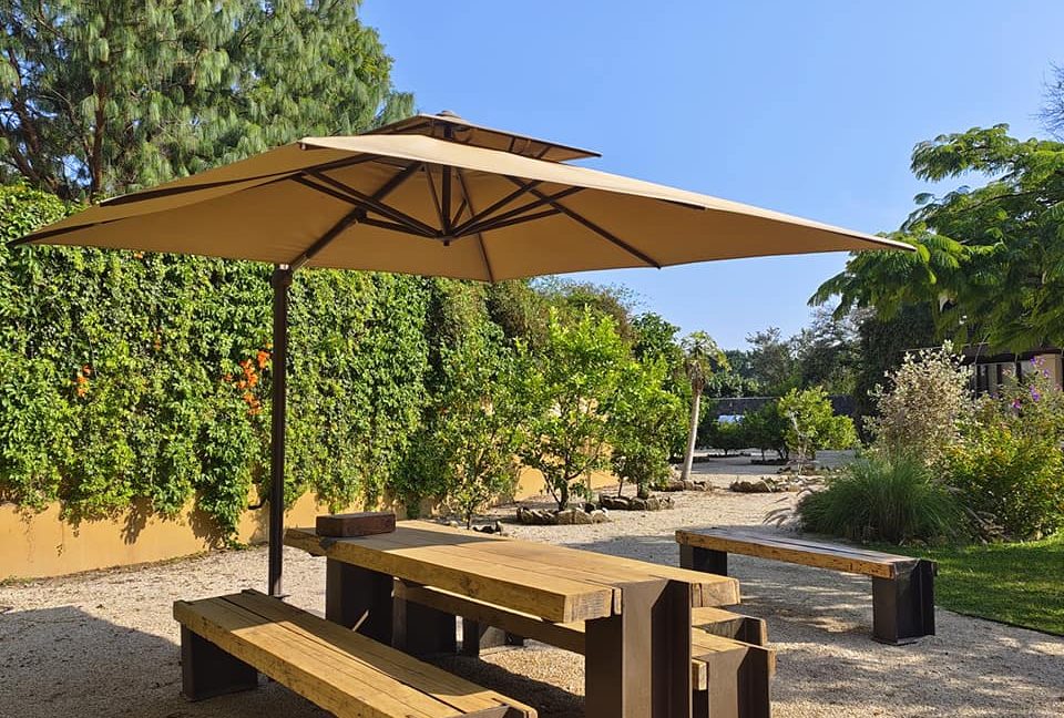 467293367_1136481585147866_3252840895303105376_n