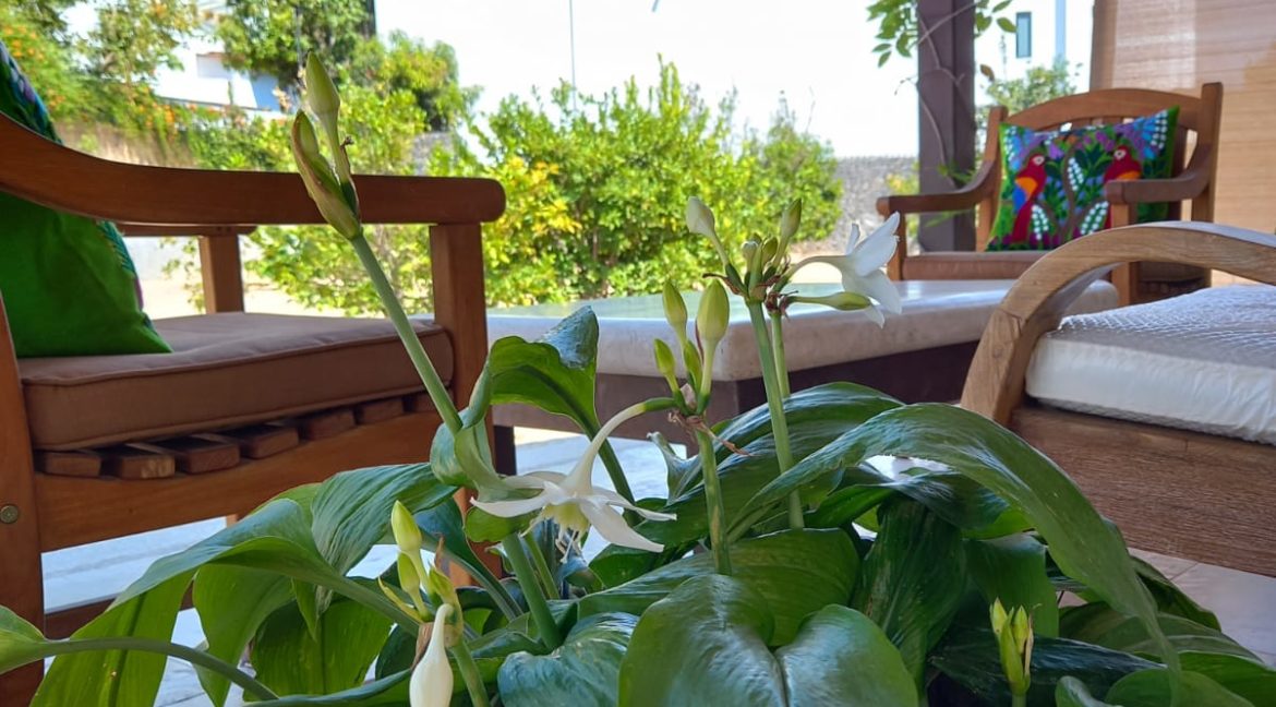 WhatsApp Image 2022-03-03 at 1.13.49 PM (3)