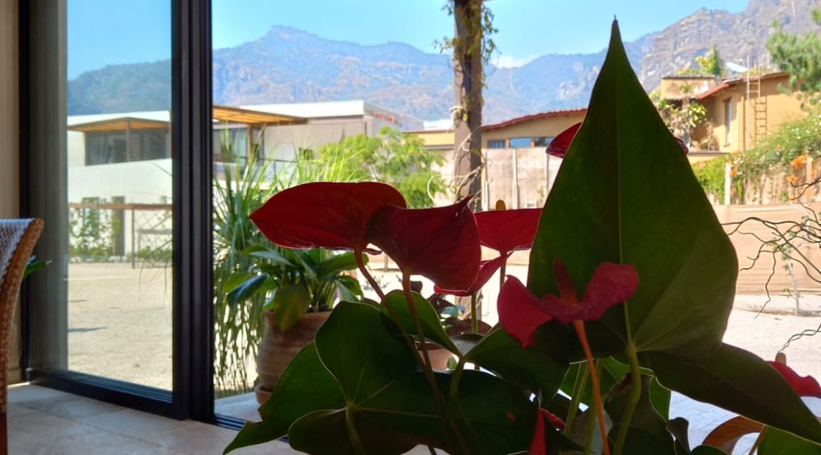 WhatsApp Image 2022-03-03 at 1.13.49 PM (4)