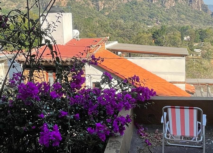 WhatsApp Image 2026-01-15 at 12.53.34 (2)