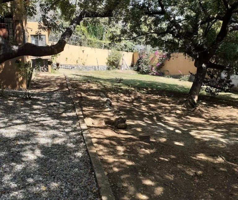 293345527_4786440514788840_6710135073359121416_n