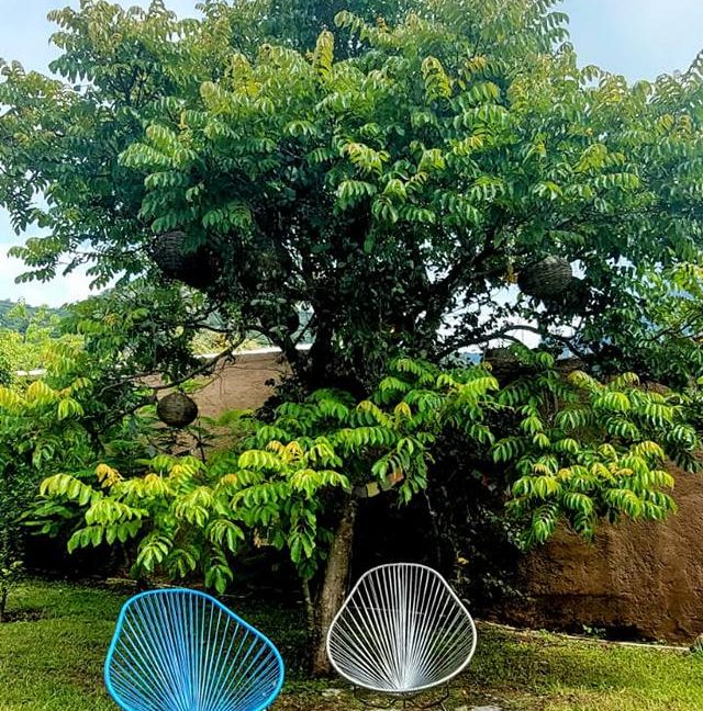 605635039_1519655120163842_3851372393064305543_n