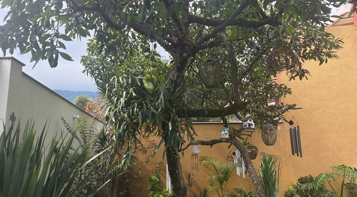 530333998_1384470080349014_1266097079314038222_n