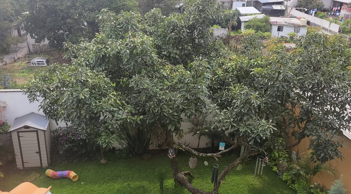 530393157_1384469880349034_6910460878554105104_n