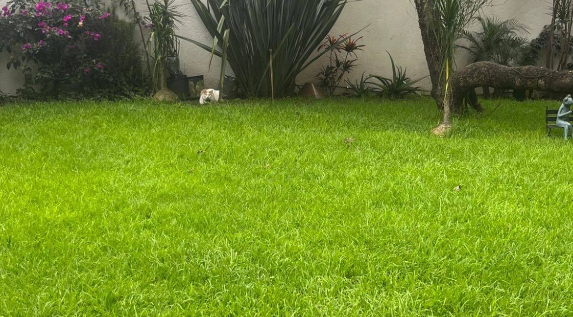 616444819_1537113255084695_2781603293669027629_n