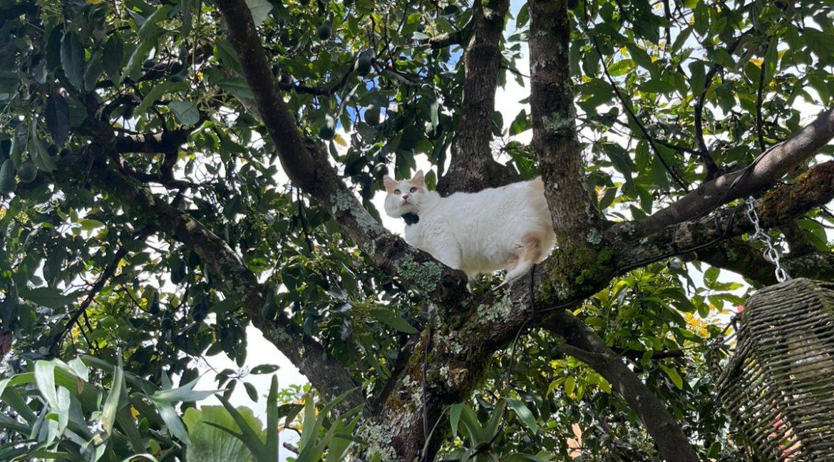 616795871_1537113071751380_1469175224843547343_n