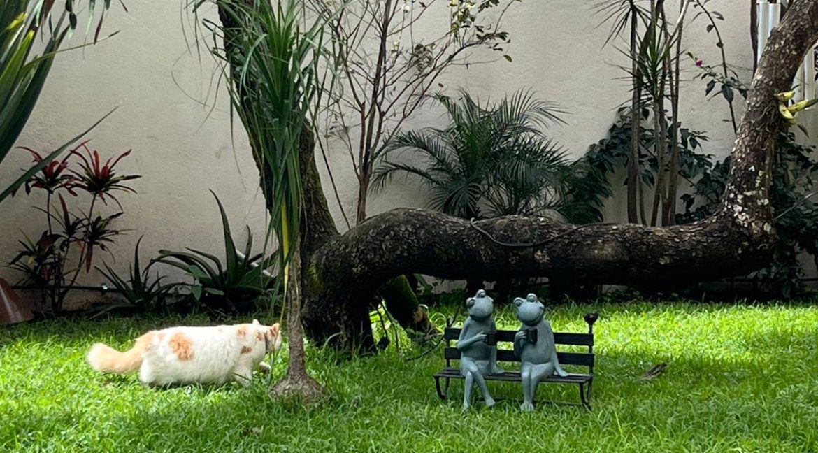 617881120_1537113131751374_3992611856377782382_n