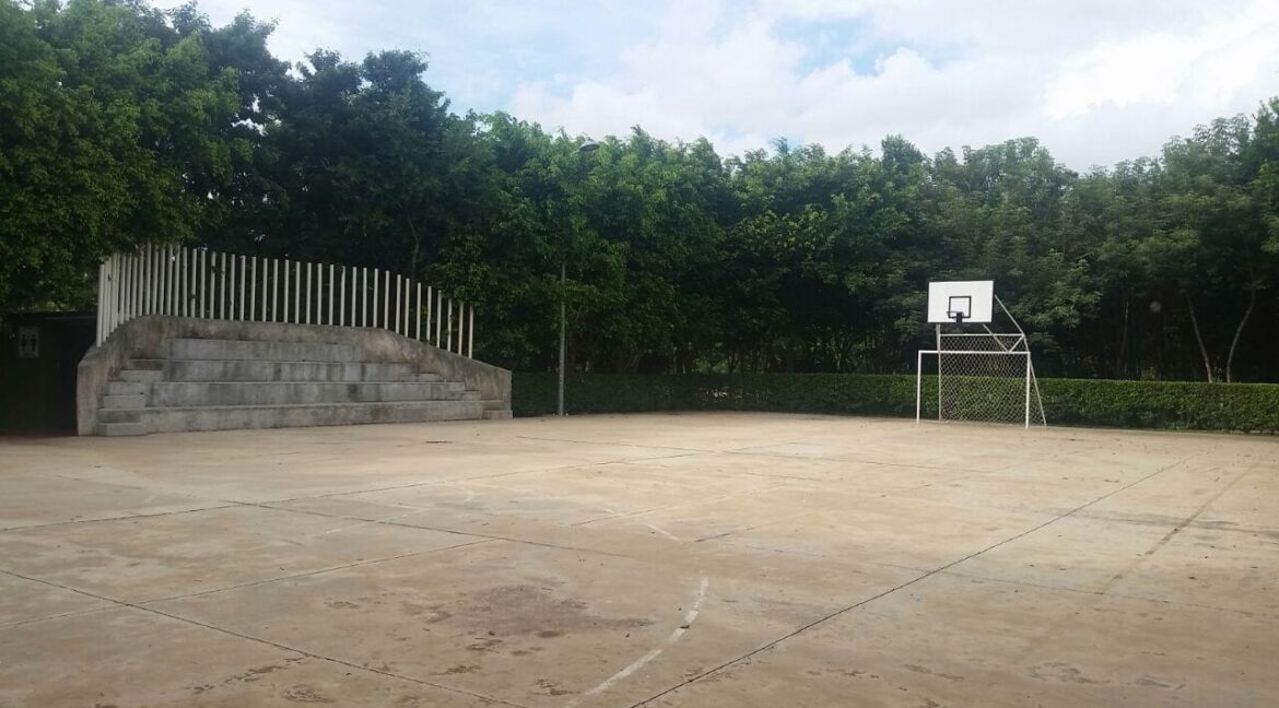 354569653_746824634113565_8039131827822367242_n