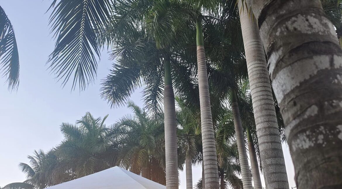 355101505_746822464113782_4498750709765229209_n