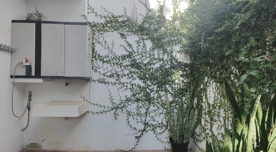 355113376_746824550780240_6130865122940857588_n