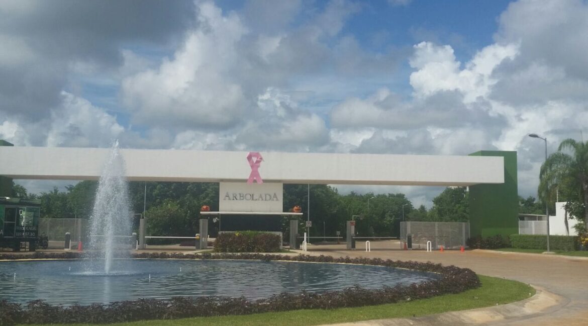 355141354_746824697446892_12310804718905009_n