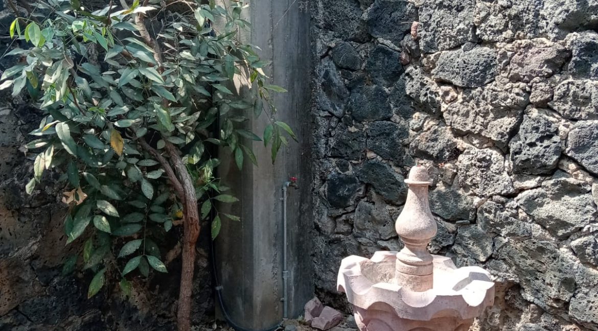 WhatsApp Image 2026-03-25 at 2.58.41 PM (1)